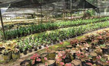 VENTA de LOTES en MELGAR