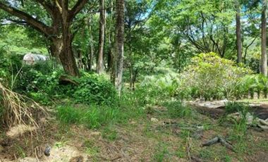 VENTA de LOTES en MELGAR