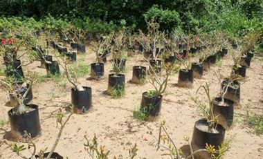 VENTA de LOTES en MELGAR