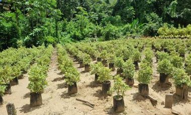 VENTA de LOTES en MELGAR