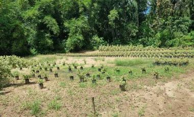 VENTA de LOTES en MELGAR