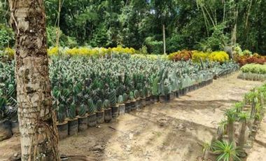 VENTA de LOTES en MELGAR