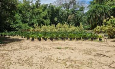 VENTA de LOTES en MELGAR