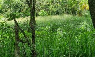 VENTA de LOTES en MELGAR