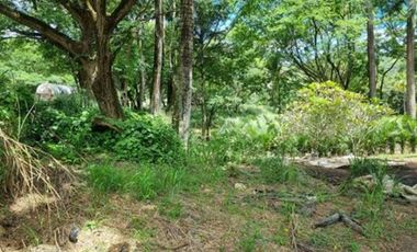 VENTA de LOTES en MELGAR