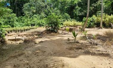 VENTA de LOTES en MELGAR