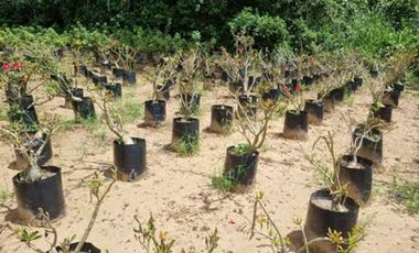 VENTA de LOTES en MELGAR