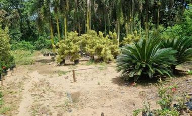 VENTA de LOTES en MELGAR