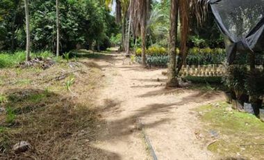 VENTA de LOTES en MELGAR