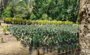 VENTA de LOTES en MELGAR