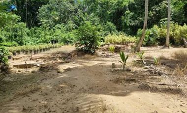 VENTA de LOTES en MELGAR