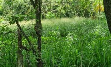 VENTA de LOTES en MELGAR