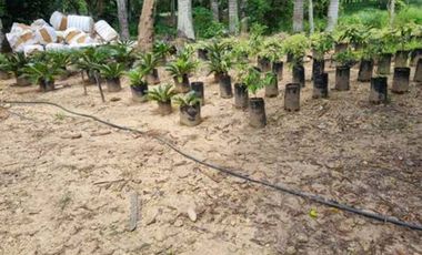 VENTA de LOTES en MELGAR