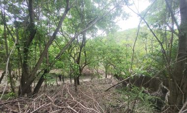 Venta de terreno en Playa boquilla
