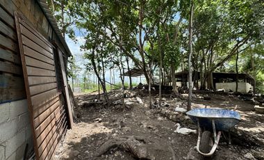 Quinta en venta en Seyé, Yucatán