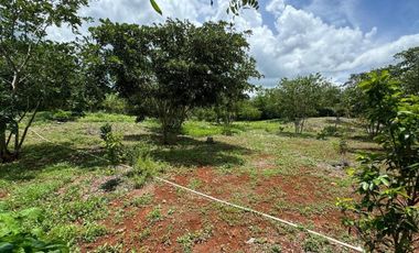 Quinta en venta en Seyé, Yucatán