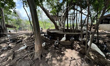 Quinta en venta en Seyé, Yucatán
