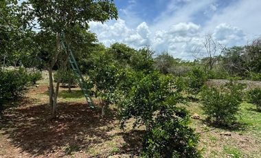 Quinta en venta en Seyé, Yucatán