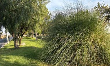 TERRENO EN RENTA CON USO MIXTO EN CIUDAD MADERAS MARQUÉS.