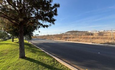 TERRENO EN RENTA CON USO MIXTO EN CIUDAD MADERAS MARQUÉS.