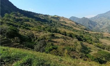 VENTA FINCA CONCORDIA, SUROESTE ANTIOQUEÑO