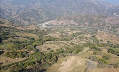 VENTA FINCA CONCORDIA, SUROESTE ANTIOQUEÑO