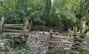 VENTA FINCA CONCORDIA, SUROESTE ANTIOQUEÑO