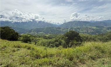 VENTA FINCA CONCORDIA, SUROESTE ANTIOQUEÑO