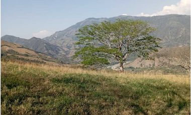 VENTA FINCA CONCORDIA, SUROESTE ANTIOQUEÑO