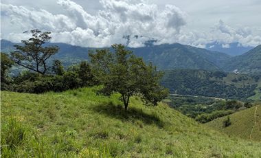 VENTA FINCA CONCORDIA, SUROESTE ANTIOQUEÑO