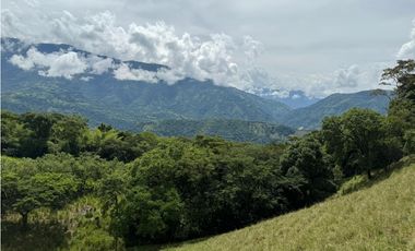 VENTA FINCA CONCORDIA, SUROESTE ANTIOQUEÑO
