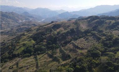 VENTA FINCA CONCORDIA, SUROESTE ANTIOQUEÑO