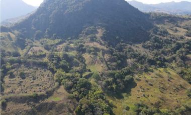 VENTA FINCA CONCORDIA, SUROESTE ANTIOQUEÑO