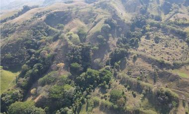 VENTA FINCA CONCORDIA, SUROESTE ANTIOQUEÑO