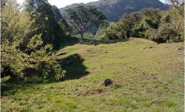 VENTA FINCA CONCORDIA, SUROESTE ANTIOQUEÑO