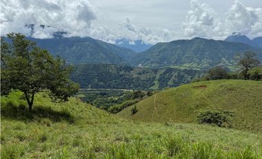 VENTA FINCA CONCORDIA, SUROESTE ANTIOQUEÑO