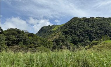 VENTA FINCA CONCORDIA, SUROESTE ANTIOQUEÑO