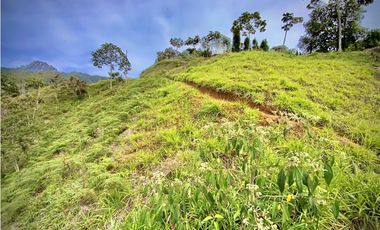 Venta Lote Exotica vista Lejana Parcelacion Sector Fizebad El Retiro