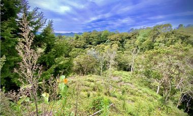 Venta Lote Exotica vista Lejana Parcelacion Sector Fizebad El Retiro