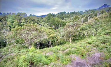 Venta Lote Exotica vista Lejana Parcelacion Sector Fizebad El Retiro