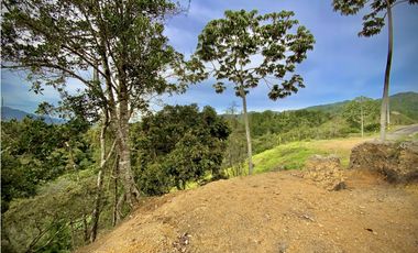 Venta Lote Exotica vista Lejana Parcelacion Sector Fizebad El Retiro