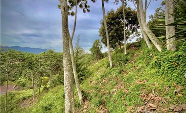 Venta Lote Exotica vista Lejana Parcelacion Sector Fizebad El Retiro