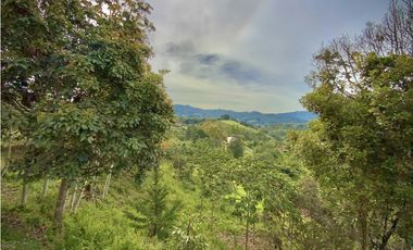 Venta Lote Exotica vista Lejana Parcelacion Sector Fizebad El Retiro