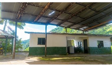 Se Vende Finca Productiva En Génova - Quindío