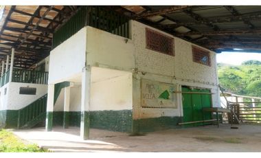 Se Vende Finca Productiva En Génova - Quindío