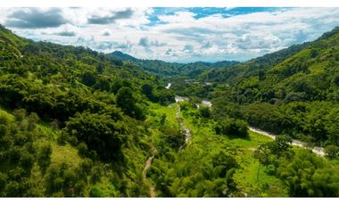 Se Vende Finca Productiva En Génova - Quindío