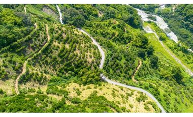 Se Vende Finca Productiva En Génova - Quindío