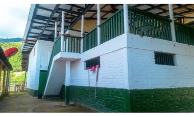 Se Vende Finca Productiva En Génova - Quindío