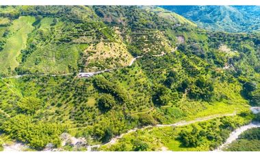 Se Vende Finca Productiva En Génova - Quindío