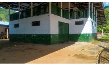Se Vende Finca Productiva En Génova - Quindío